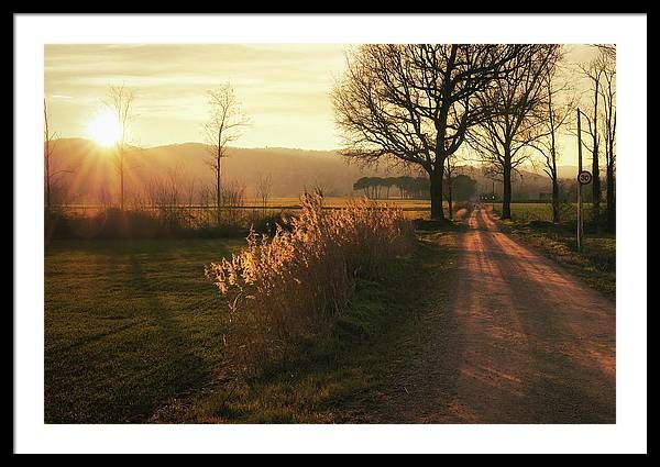 Cuadro de puesta de sol