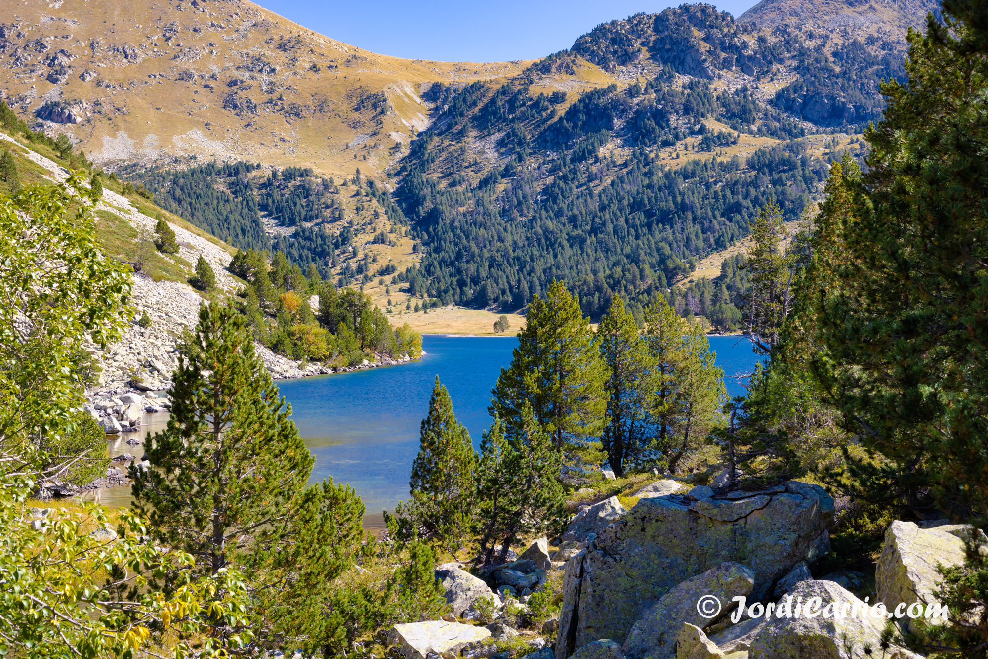 JordiCarrió.com - cr1909-0511-pslt.jpg