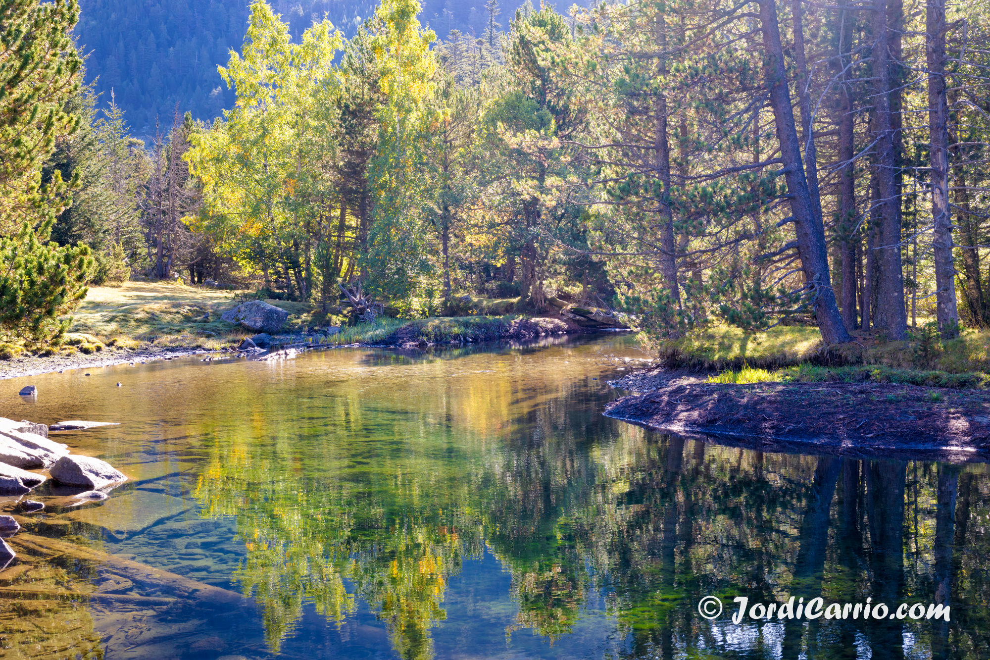 JordiCarrió.com - img-0478-pslt.jpg