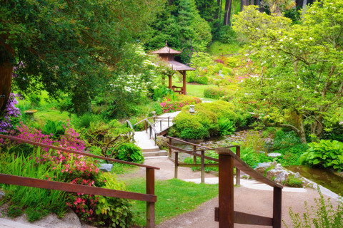 Jardines, plantas y flores