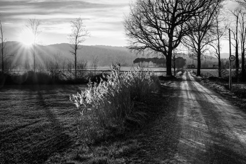 Paisajes rurales