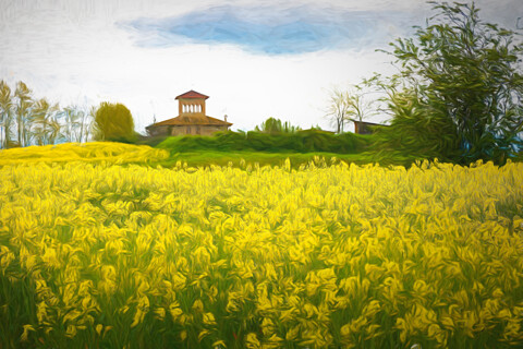 Paisajes rurales