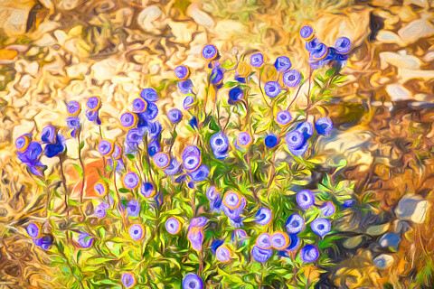 Jardines, plantas y flores
