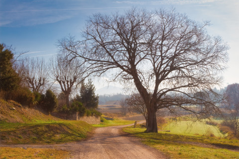 Paisajes rurales