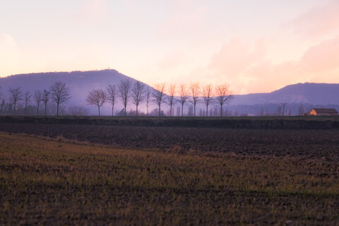 Paisajes rurales