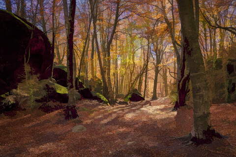 Bosques y arboles
