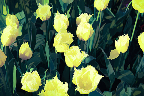 Jardines, plantas y flores