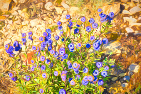Jardines, plantas y flores